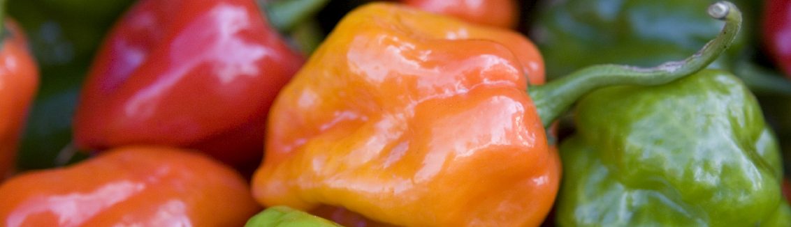 Colorful fresh bell peppers