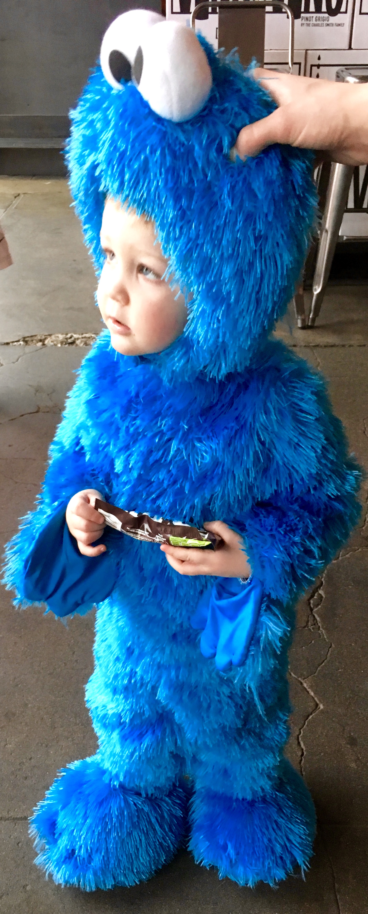 The Cookie Monster!